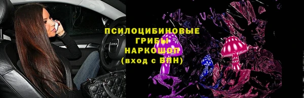 молекула духа Киреевск