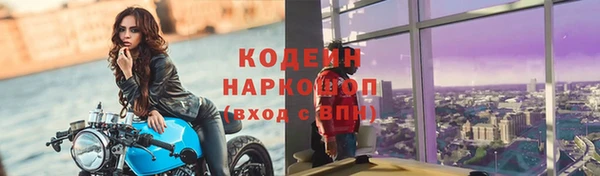 молекула духа Киреевск