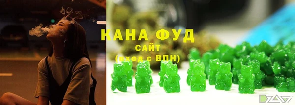 молекула духа Киреевск