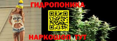 дмт Ефремов