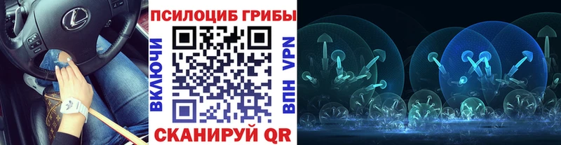 shop состав Краснокамск Псилоцибиновые грибы Cubensis