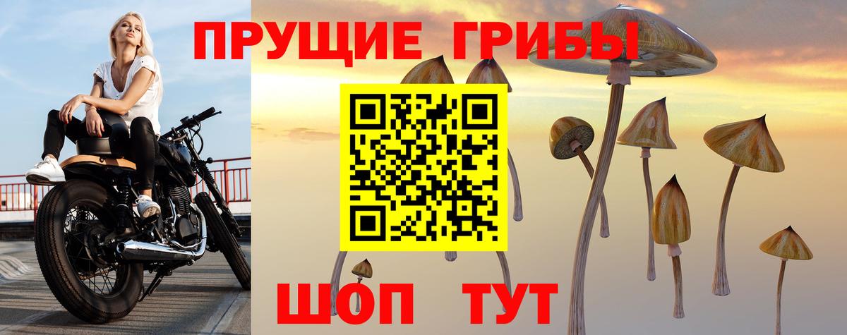 Галлюциногенные грибы GOLDEN TEACHER  Вход с VPN  Краснокамск  Галлюциногенные грибы мицелий 