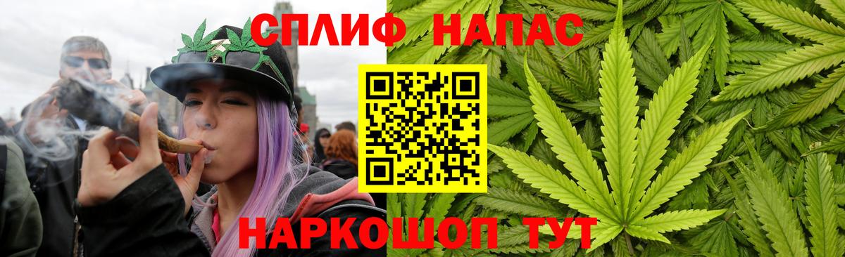 Конопля план Краснокамск
